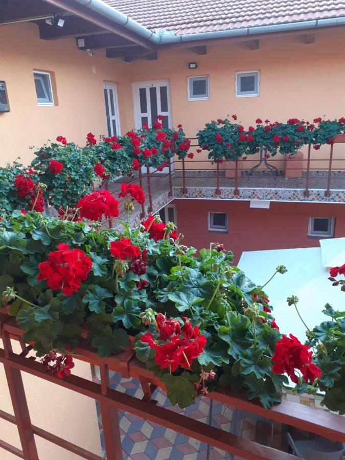 Casa Leucian Ξενοδοχείο Ντέβα Εξωτερικό φωτογραφία