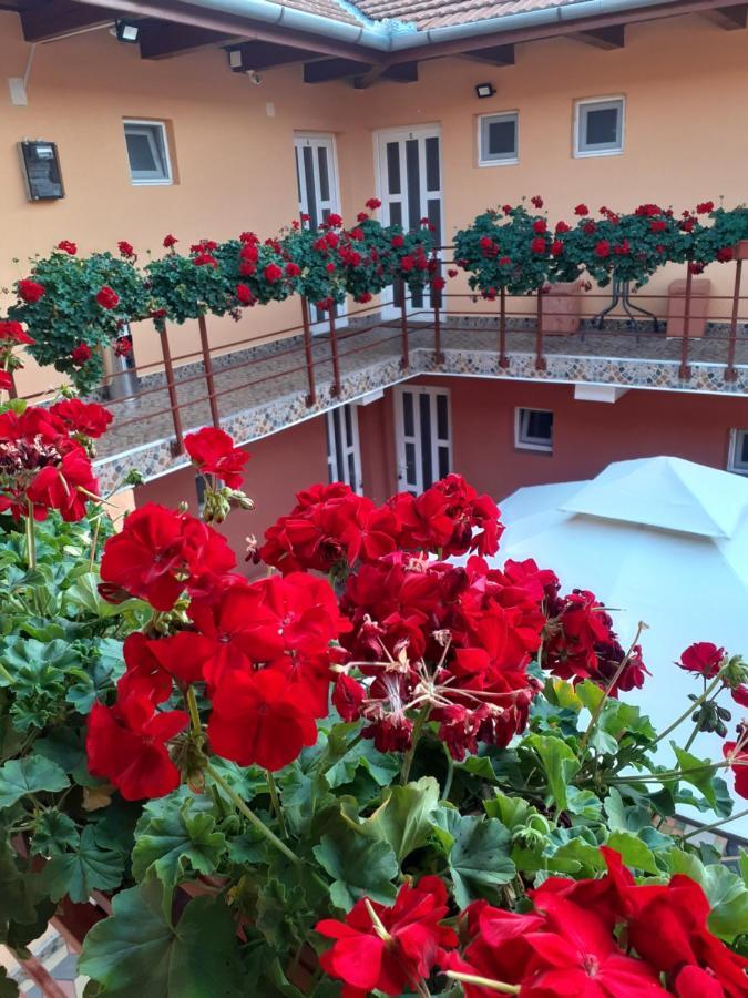 Casa Leucian Ξενοδοχείο Ντέβα Εξωτερικό φωτογραφία
